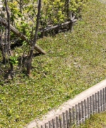 Thumbnail of post image 001