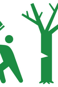 Thumbnail of post image 062