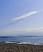 Thumbnail of post image 127