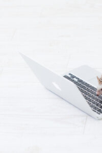 Thumbnail of post image 152