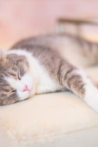 Thumbnail of post image 119