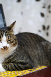 Thumbnail of post image 118