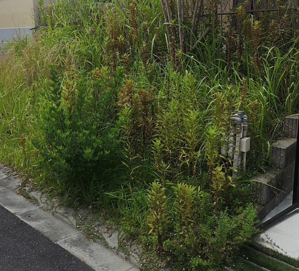 Thumbnail of post image 032