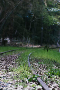 Thumbnail of post image 030