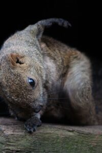 Thumbnail of post image 197