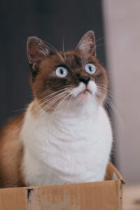 Thumbnail of post image 187