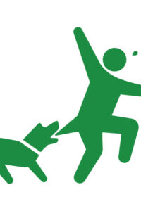 Thumbnail of post image 109